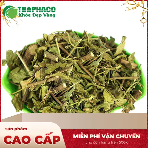 Tương tác của dây thìa canh với các loại thuốc khác