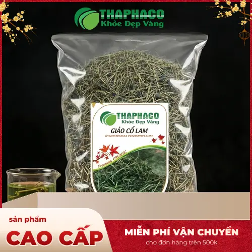 Giảo Cổ Lam THAPHACO - Vị thuốc quý từ thiên nhiên