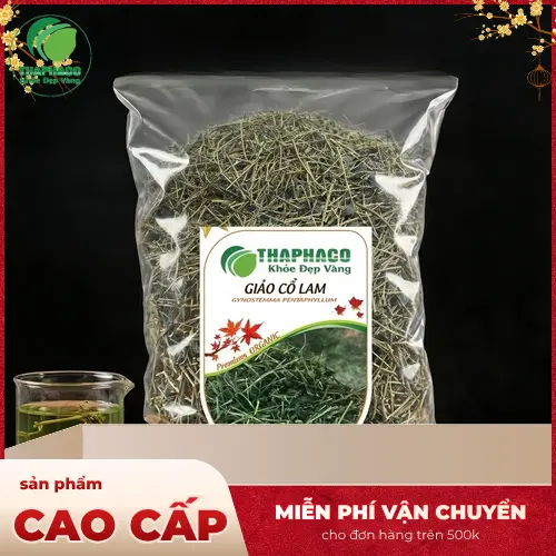 Hình ảnh cây Giảo Cổ Lam tự nhiên