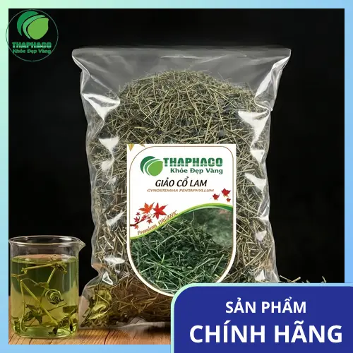 Hình ảnh cây Giảo Cổ Lam với lá kép và thân dây leo