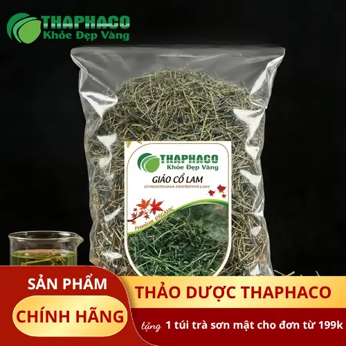 Hình ảnh cây Giảo Cổ Lam tự nhiên