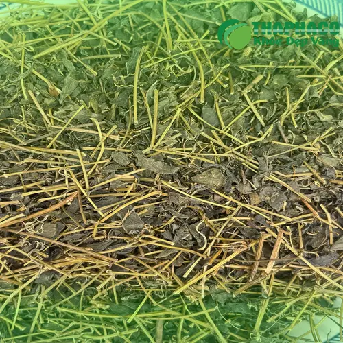 Người lớn tuổi đang đo huyết áp, minh họa các đối tượng cần thận trọng khi dùng giảo cổ lam