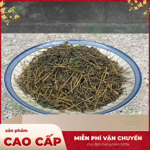 Giảo Cổ Lam khô THAPHACO đảm bảo chất lượng