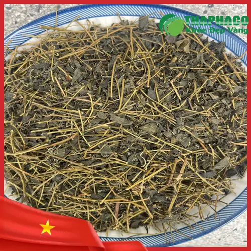 Trà Giảo Cổ Lam khô Thaphaco