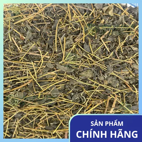 Pha trà Giảo Cổ Lam đúng cách