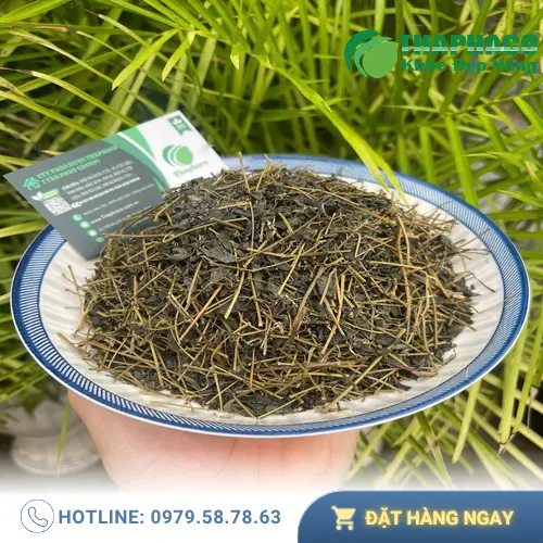 Liều lượng và thời điểm uống trà giảo cổ lam hiệu quả