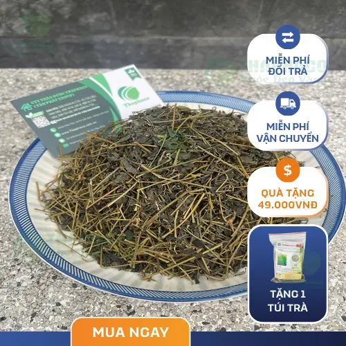 Một người phụ nữ đang uống trà giảo cổ lam, minh họa cách dùng an toàn