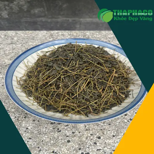 Đặt mua Giảo Cổ Lam khô THAPHACO tại TP.HCM