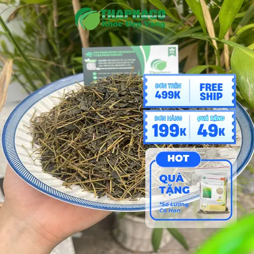 Giảo Cổ Lam chất lượng tại THAPHACO