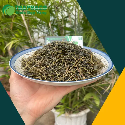 Lưu ý an toàn khi sử dụng giảo cổ lam