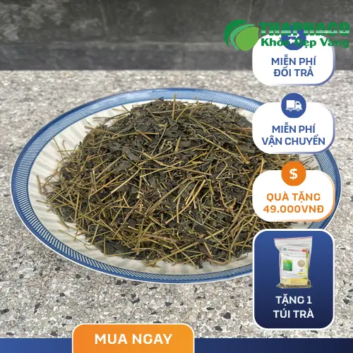 Giảo Cổ Lam THAPHACO - Địa chỉ mua uy tín tại TP.HCM