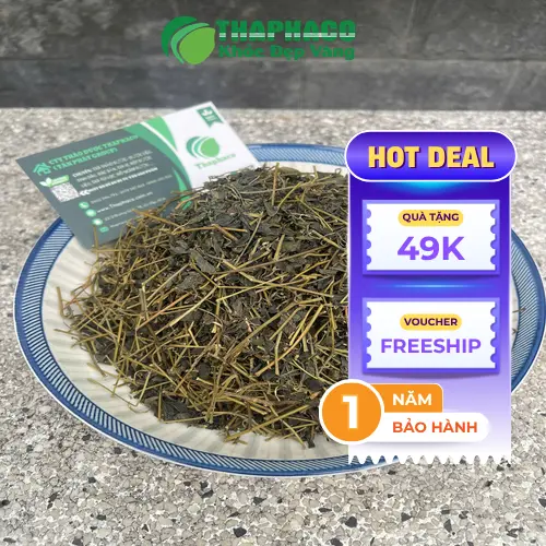 Lưu ý khi sử dụng Giảo Cổ Lam