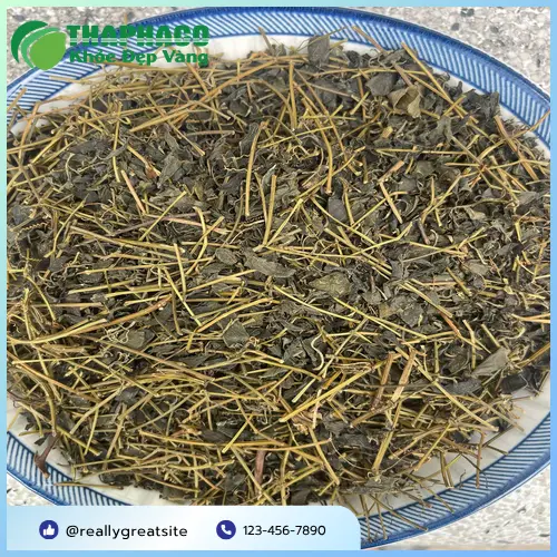 Túi đựng giảo cổ lam khô chất lượng tại THAPHACO, minh họa cách bảo quản