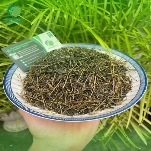Giảo Cổ Lam chất lượng tại THAPHACO
