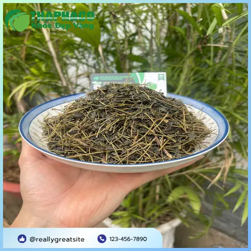 Sản phẩm Giảo Cổ Lam khô chất lượng cao tại THAPHACO