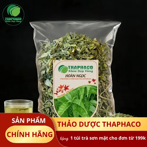 Cây Hoàn Ngọc tươi xanh