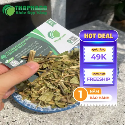 Tráng trà lá Hoàn Ngọc khô để loại bỏ bụi bẩn