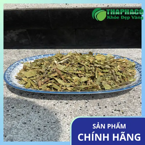 Hình ảnh cây Hoàn Ngọc Trắng