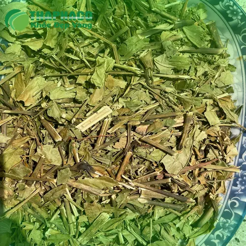 Lá Hoàn Ngọc tươi chứa nhiều dưỡng chất