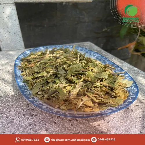 Hình ảnh cây Hoàn Ngọc Đỏ