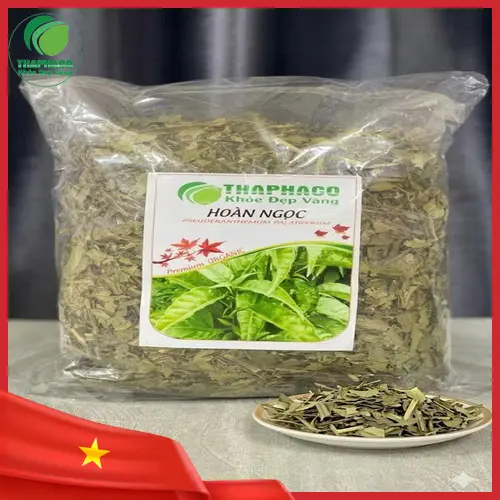 Cách dùng lá hoàn ngọc khô an toàn