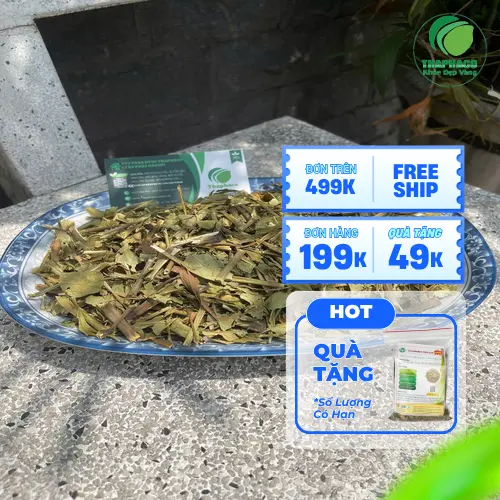 Pha trà Hoàn Ngọc đúng cách để có hương vị thơm ngon