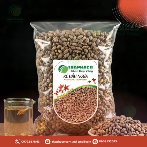 Hình ảnh cây ké đầu ngựa trong tự nhiên