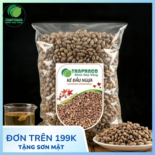 Ké đầu ngựa và đặc điểm nhận biết