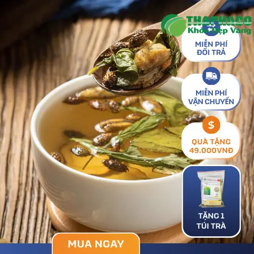 Công dụng hỗ trợ của ké đầu ngựa