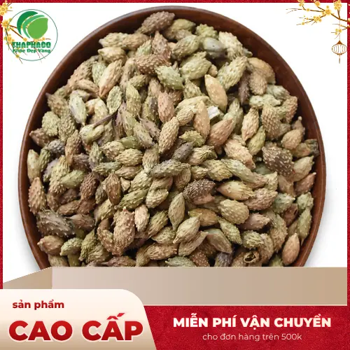 Công dụng của ké đầu ngựa trong y học cổ truyền