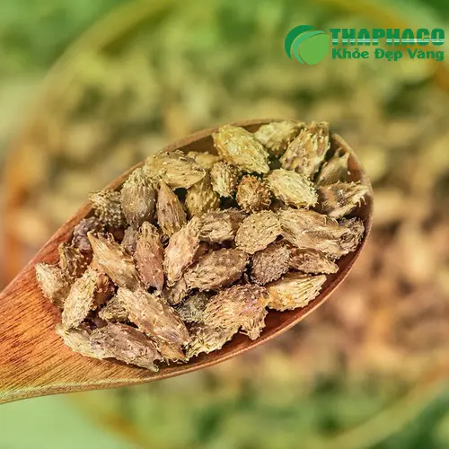 Ké đầu ngựa chất lượng tại THAPHACO