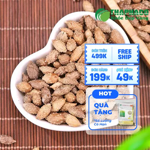 Ké đầu ngựa khô chất lượng tại THAPHACO