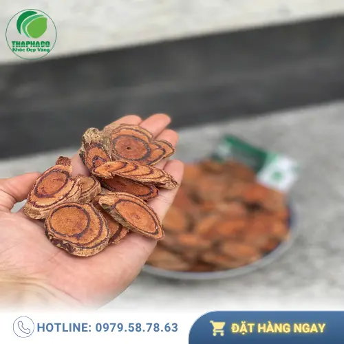 Lát cắt Kê Huyết Đằng sấy khô đều, không vụn nát
