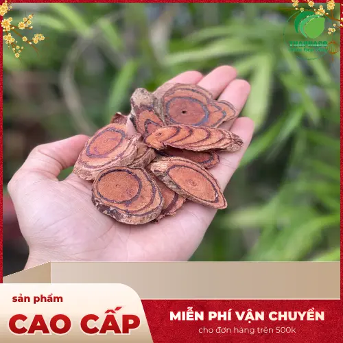 Tác dụng phụ tiềm ẩn của Kê Huyết Đằng