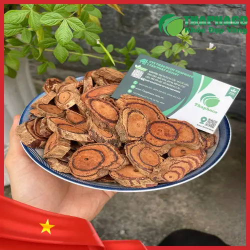 Công dụng hỗ trợ lưu thông máu của Kê Huyết Đằng