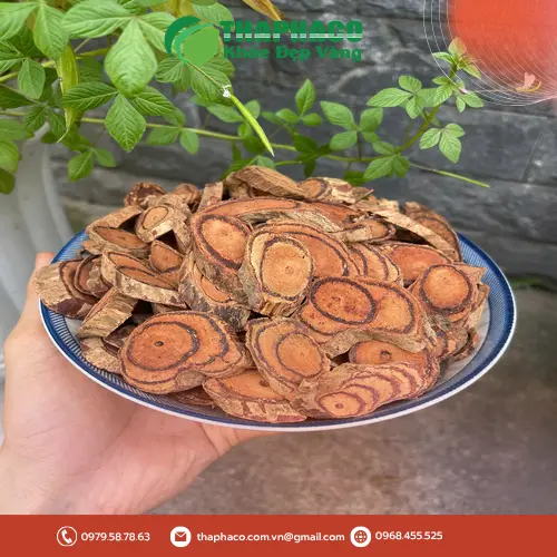 Cách dùng Kê Huyết Đằng an toàn và hiệu quả