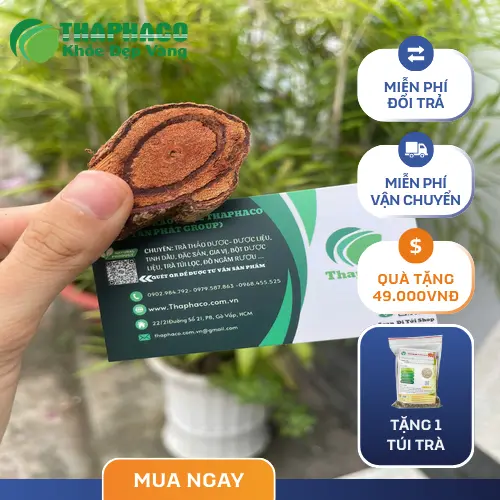 Kê Huyết Đằng chất lượng cao tại THAPHACO