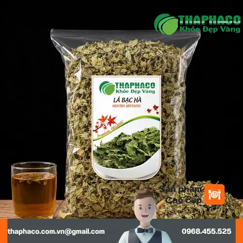 Lá bạc hà tươi xanh mướt