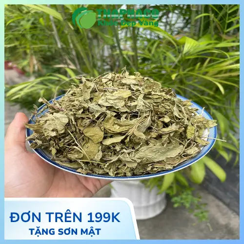 Cốc trà bạc hà nóng với hơi bốc lên