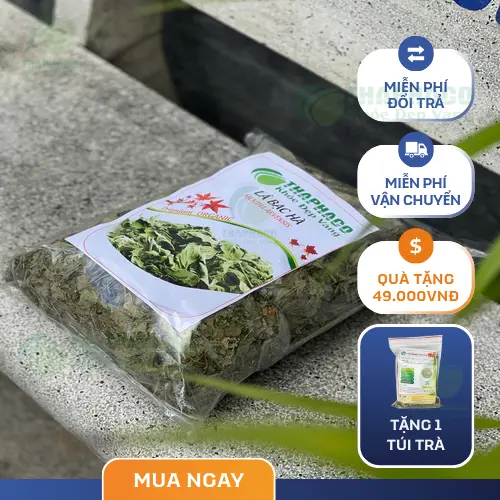 Quy trình pha trà bạc hà từ lá khô