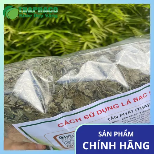 Lưu ý khi dùng trà bạc hà cho người có bệnh nền