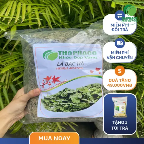Pha trà bạc hà đúng cách để tận hưởng lợi ích