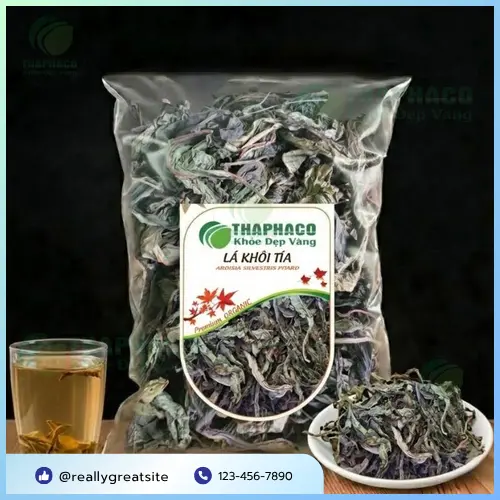 Lá Khôi Tía hỗ trợ sức khỏe tiêu hóa