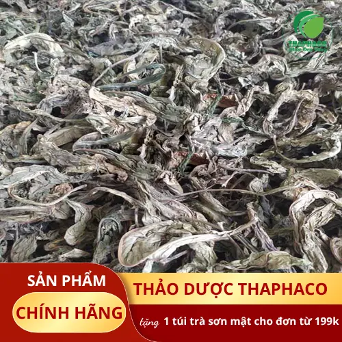 Tiêu chí chọn Lá Khôi Tía khô chất lượng