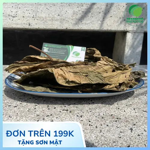 Hướng dẫn pha trà Lá Khôi Tía khô đúng cách