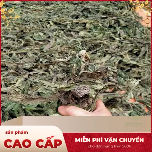 Kiểm tra Lá Khôi Tía khô thường xuyên để phát hiện dấu hiệu ẩm mốc
