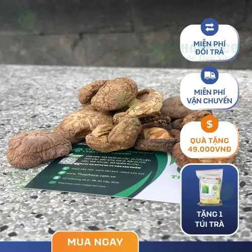 Người đang dùng thuốc chống đông máu cần thận trọng với nấm đông cô