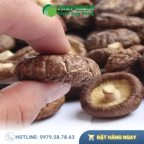 Công nghệ sấy lạnh tiên tiến tại THAPHACO