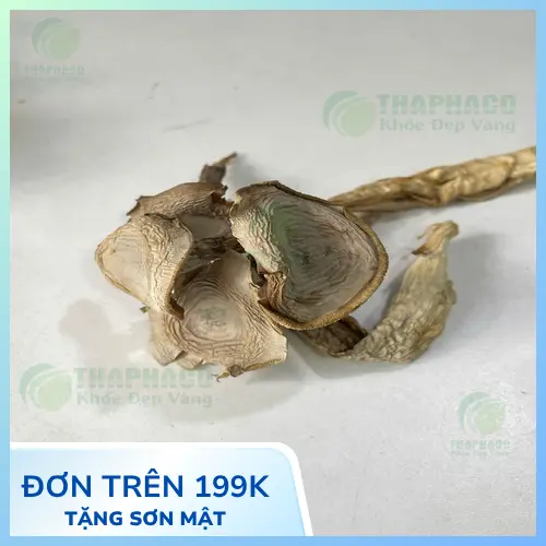 Nấm lộc nhung khô tiện lợi và dễ bảo quản