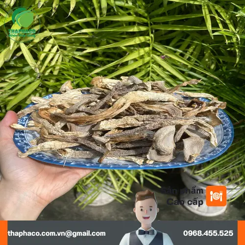 Lưu ý khi sử dụng nấm lộc nhung